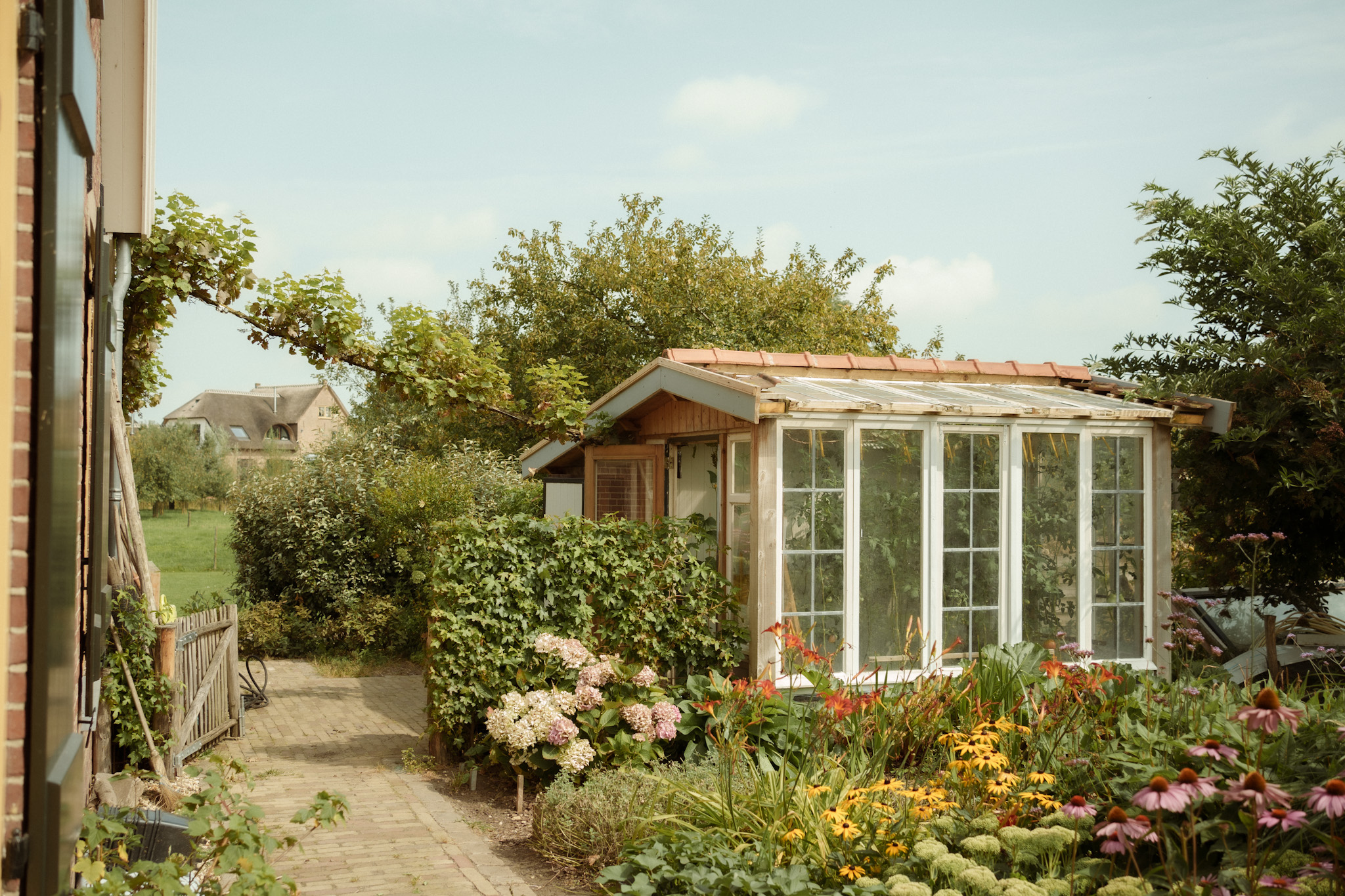 Foto van de achtertuin van een oude boerderij met links een stukje van het huis, rechts een zelfgemaakte kas van hout en kozijnen, eronder een border vol met bloemen en tussen deze dingen door een pad met een houten hekje omringd door groen